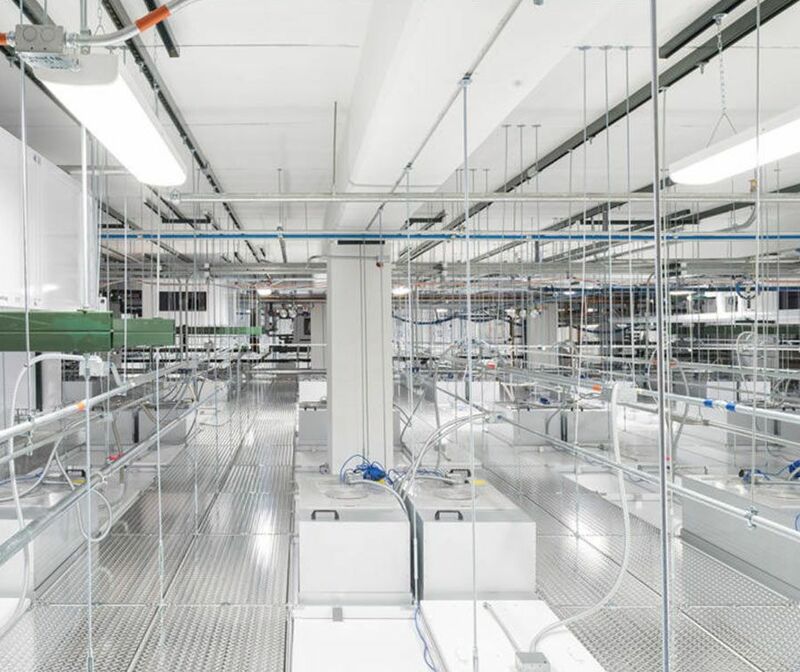 Unveiling the Advantages of FFU Systems in Cleanrooms